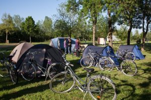 Vélos au camping 